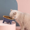 Three-Legged Raised Pet Bowl - Image 2