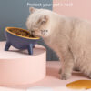 Three-Legged Raised Pet Bowl - Image 6