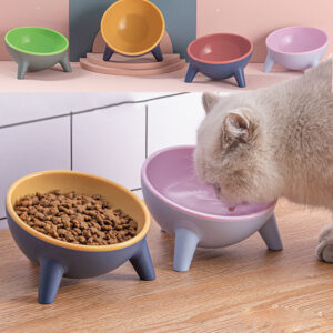 Three-Legged Raised Pet Bowl