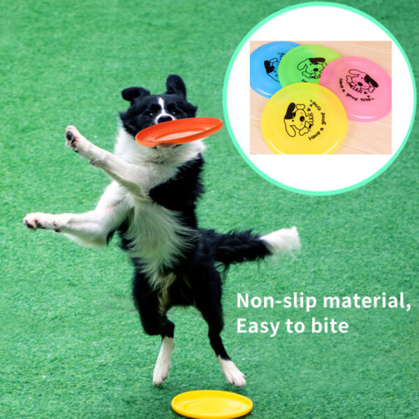 Silicone Flying Disc Chewable Dog & Puppy Toy - Image 2