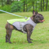 Dog Cooling Vest - Image 4
