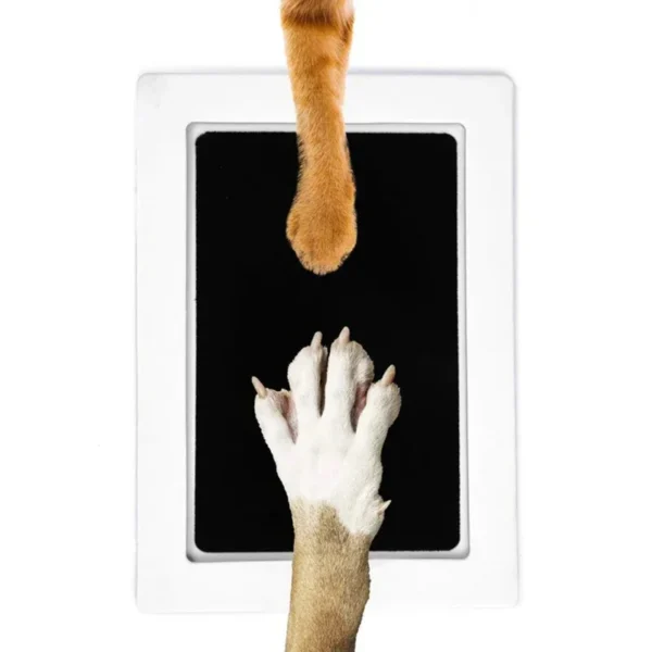 Your Pet's Paw Print Kit (Non-Toxic) - Image 2